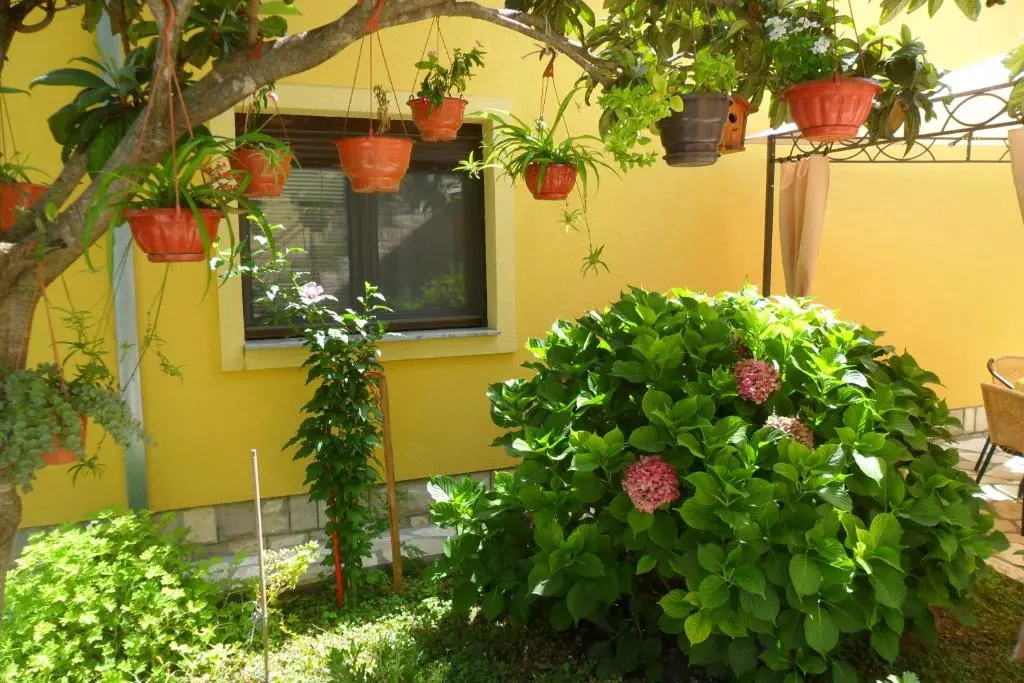 img_id_746204.webp
