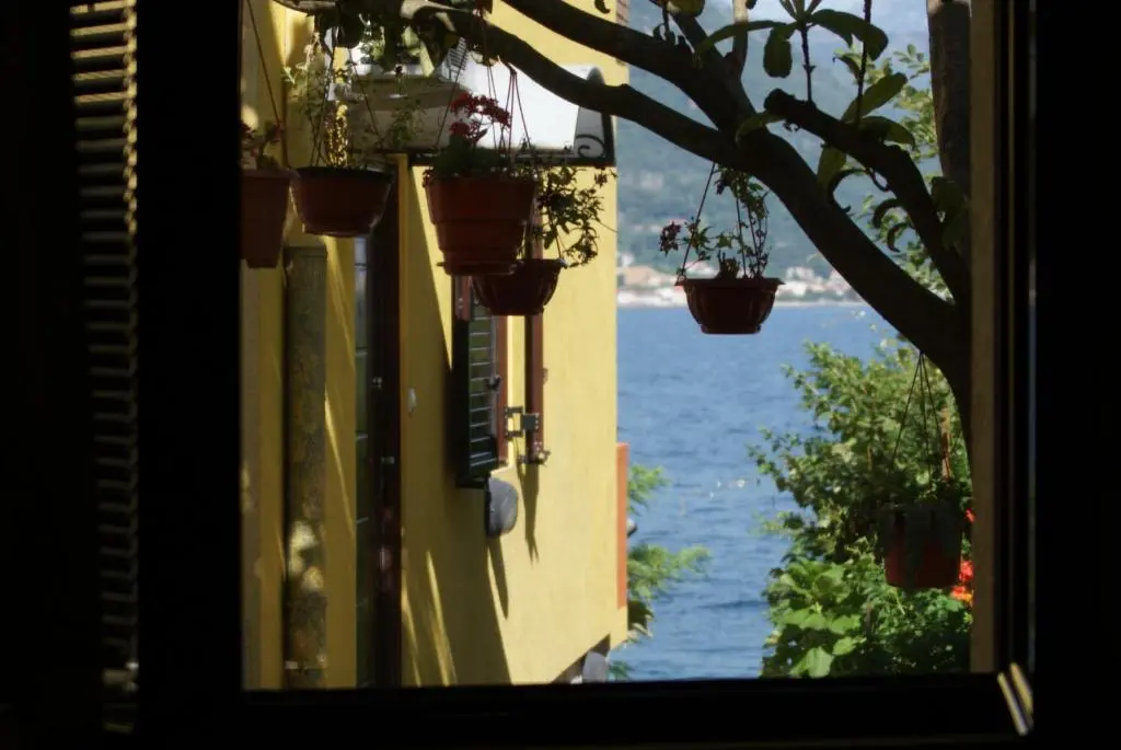 img_id_746208.webp