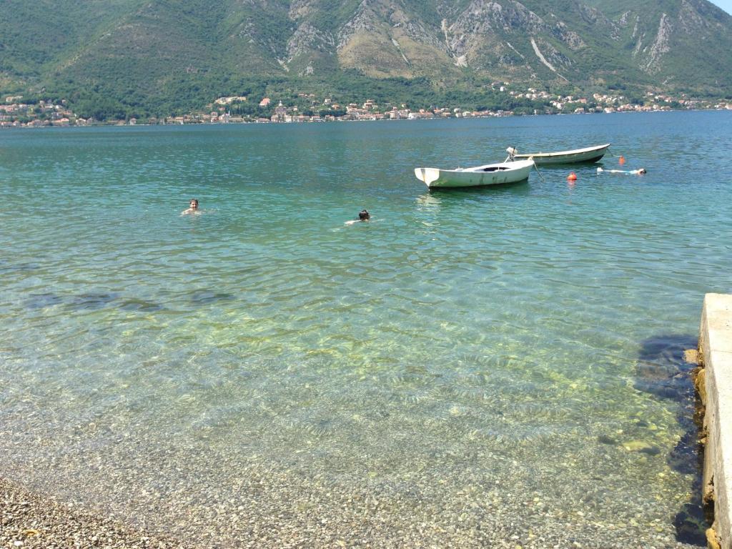 img_id_746211.jpg