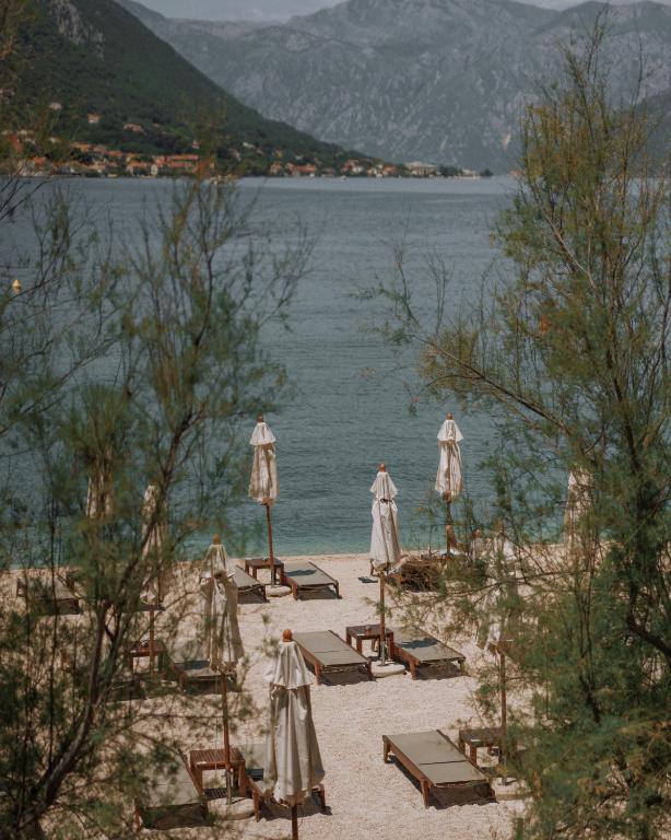 img_id_746710.jpg