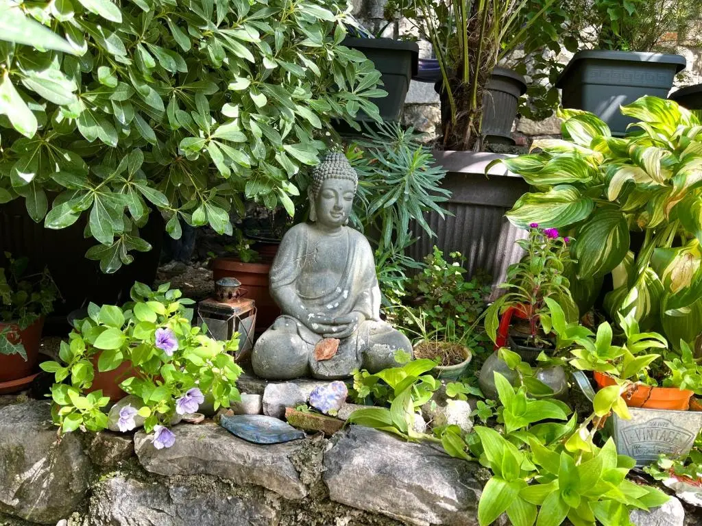 img_id_747967.webp
