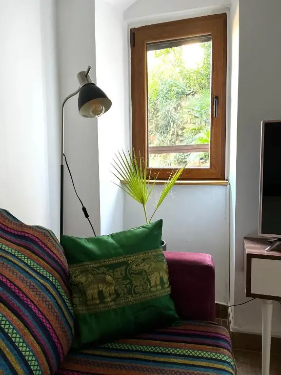 img_id_748000.webp