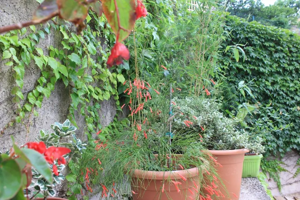 img_id_748145.webp