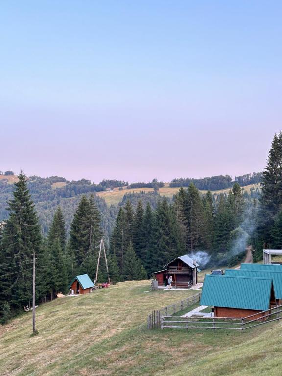 img_id_749264.jpg