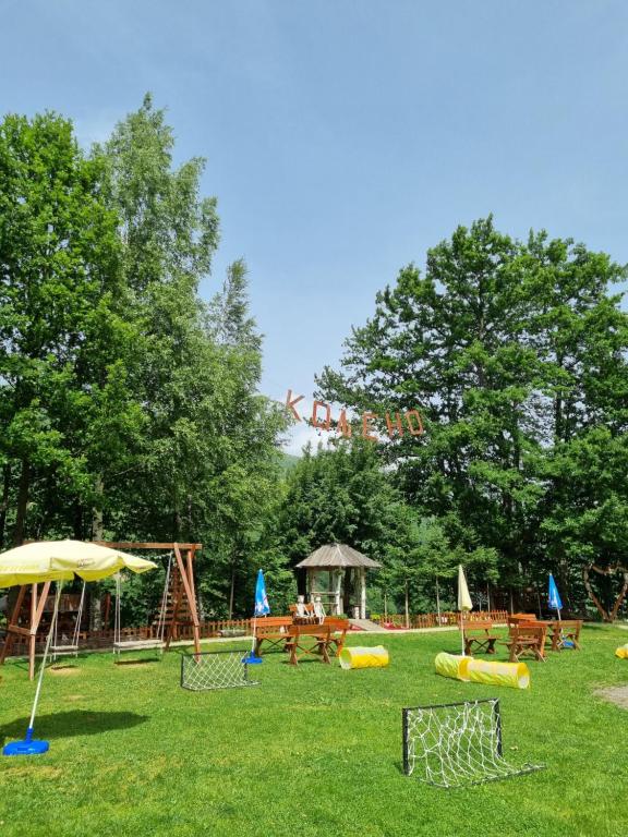img_id_749608.jpg