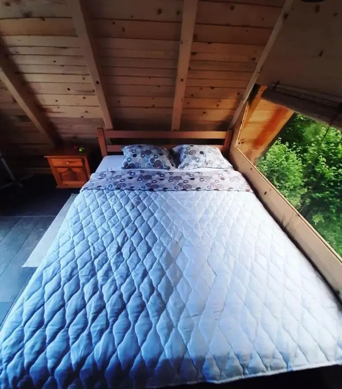 img_id_749730.webp