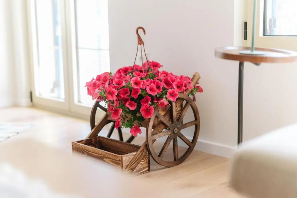 img_id_750167.webp