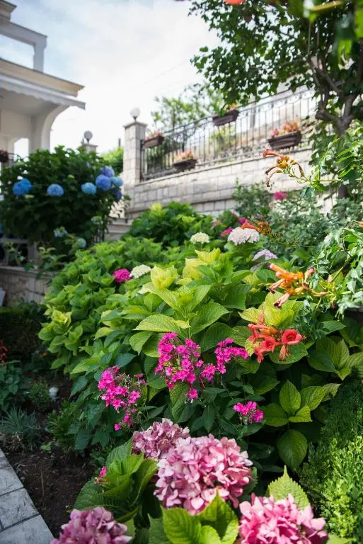 img_id_751369.webp