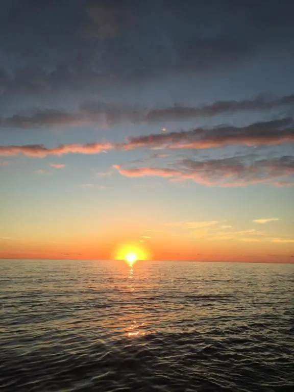 img_id_751584.webp