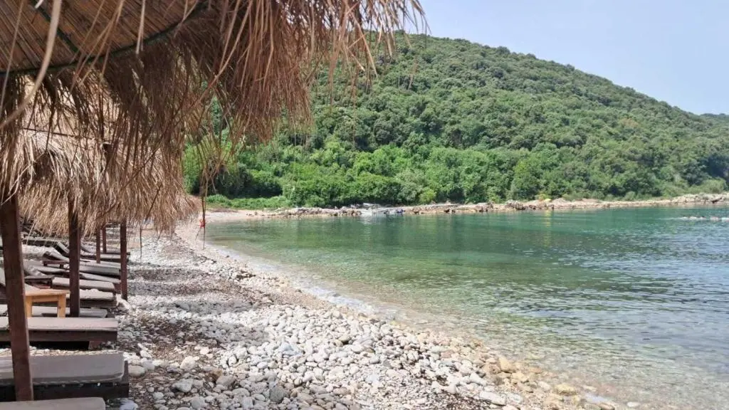 img_id_752141.webp
