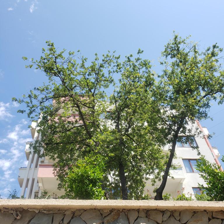 img_id_753780.jpg