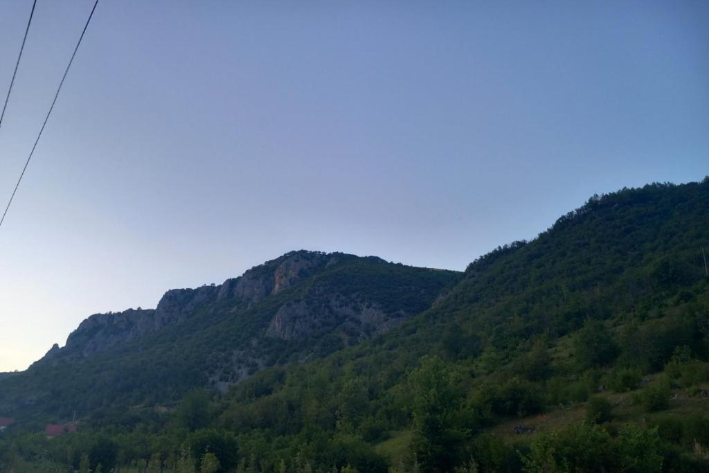 img_id_756245.jpg