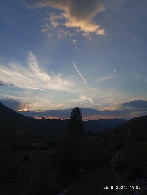 img_id_756376.jpg