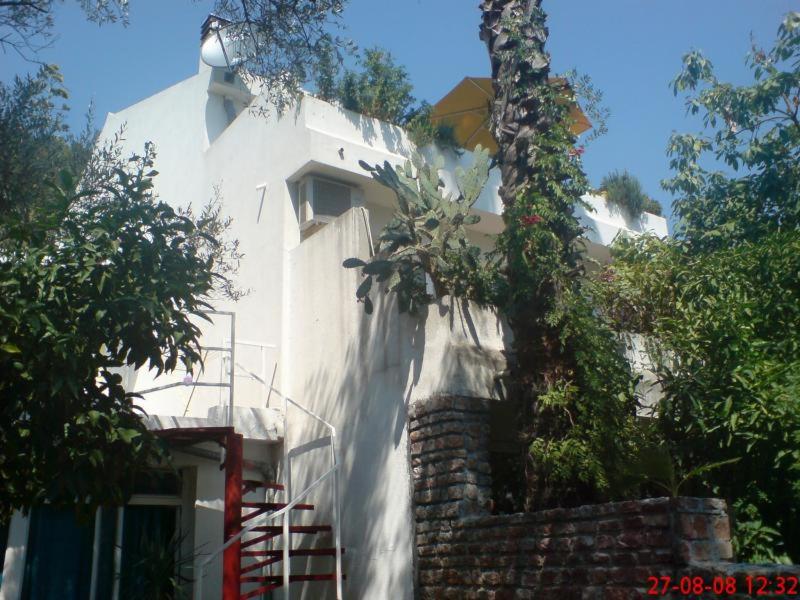 img_id_756529.jpg