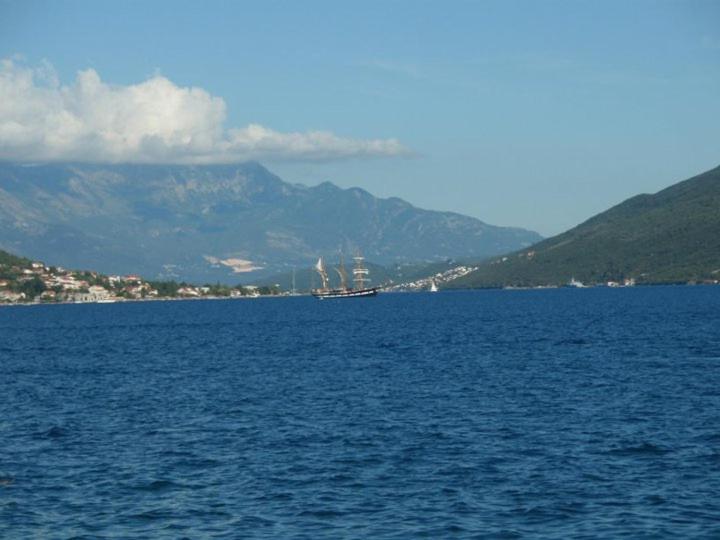 img_id_757627.jpg