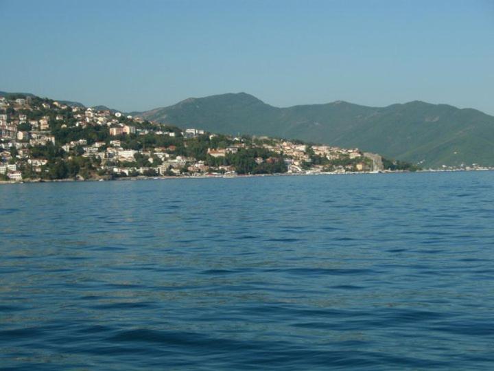 img_id_757631.jpg