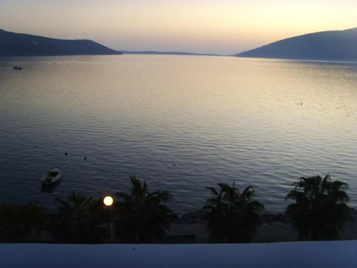 img_id_757639.jpg