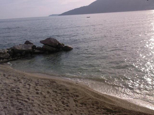 img_id_757645.jpg