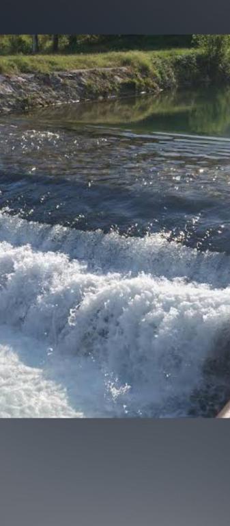 img_id_758045.jpg