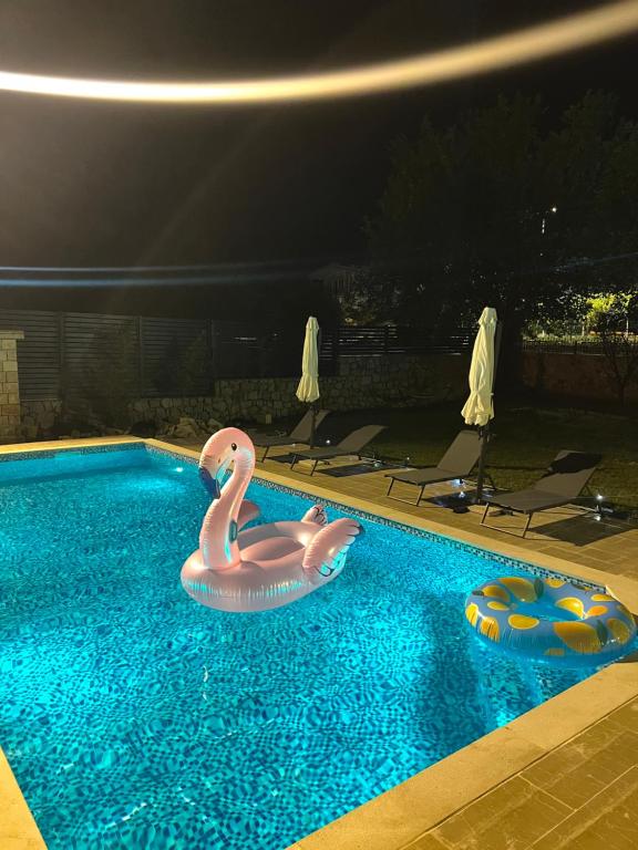 img_id_758217.jpg