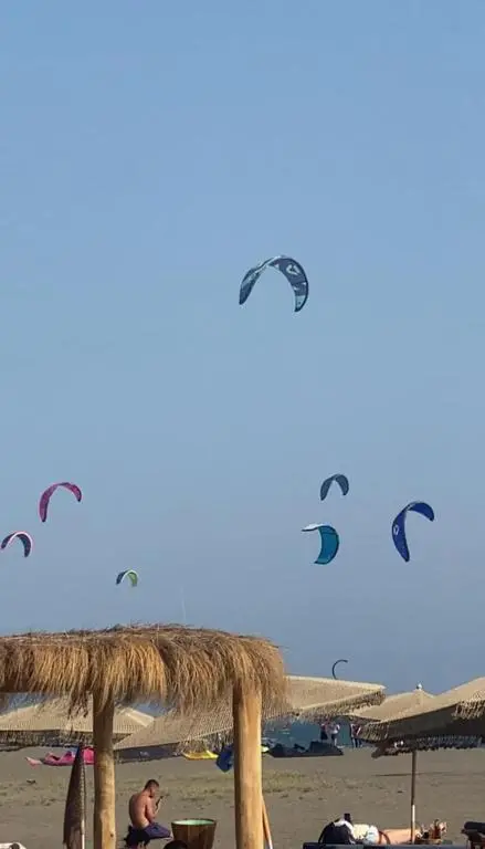 img_id_761069.webp