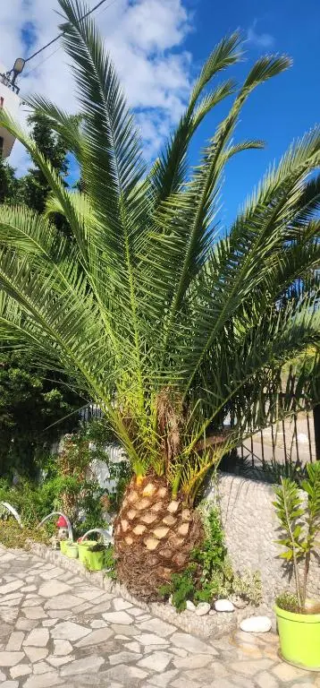 img_id_761367.webp