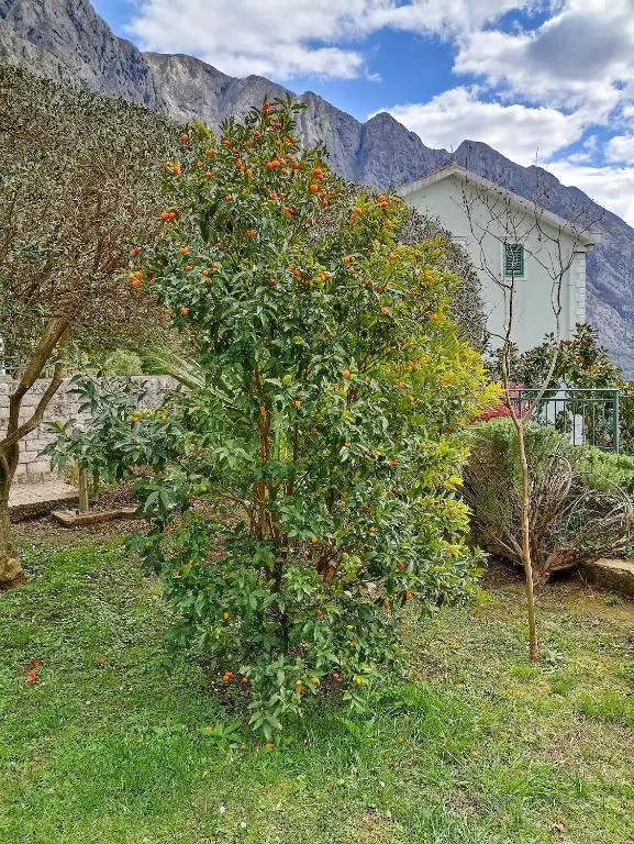 img_id_761587.webp