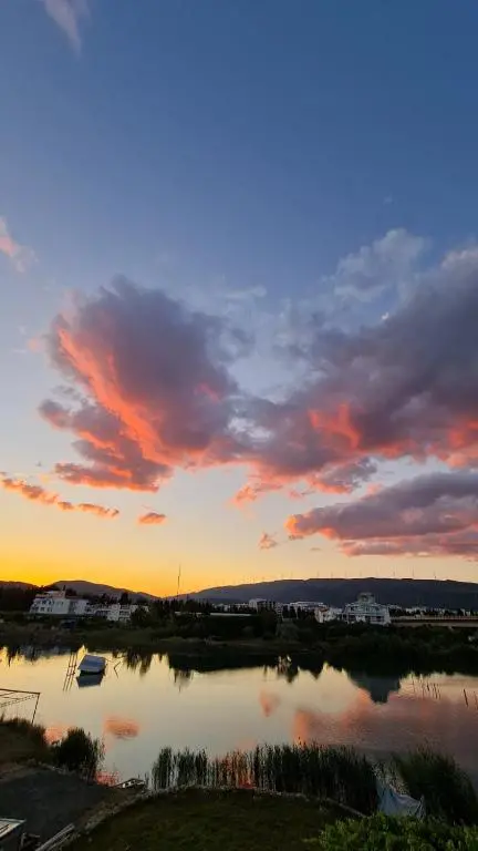 img_id_762444.webp