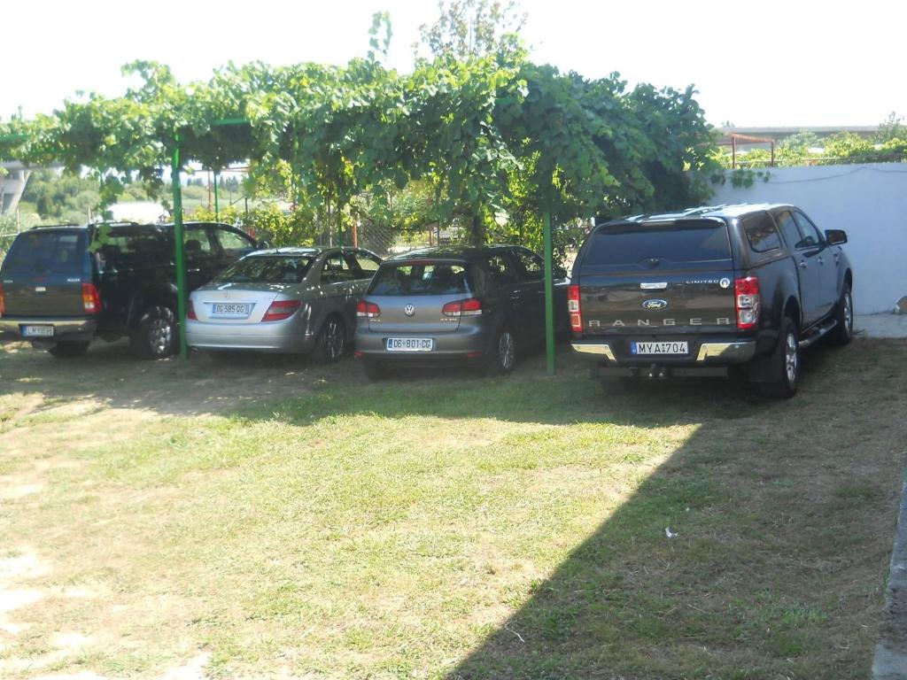 img_id_762533.jpg