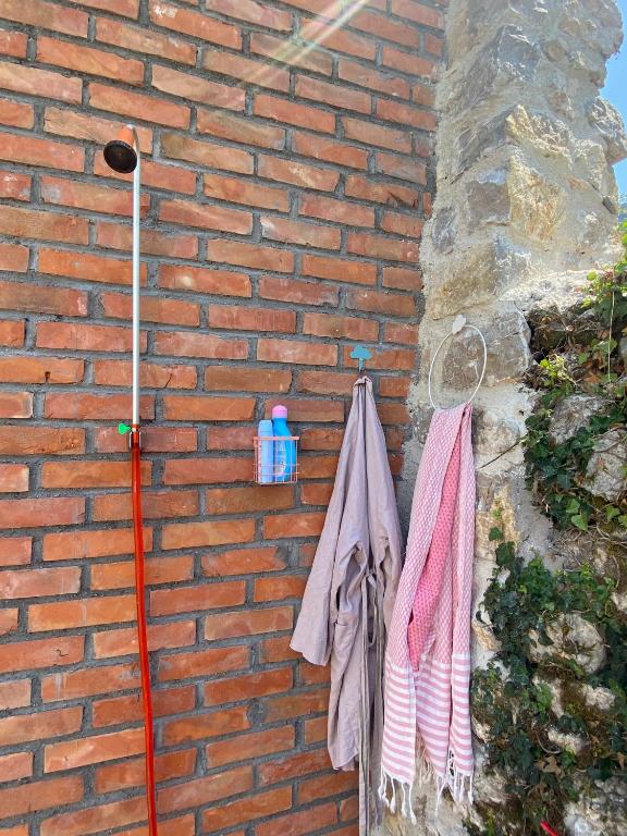 img_id_762667.jpg