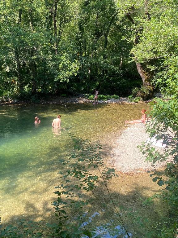 img_id_762672.jpg