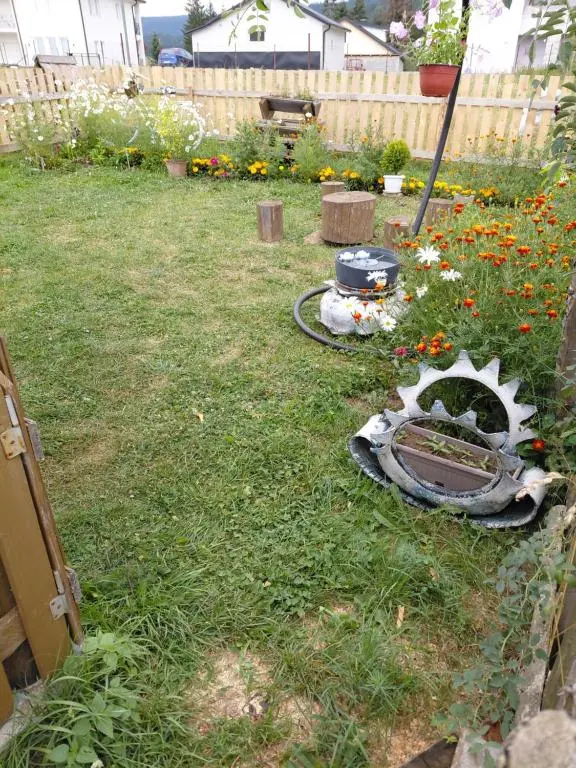 img_id_762750.webp