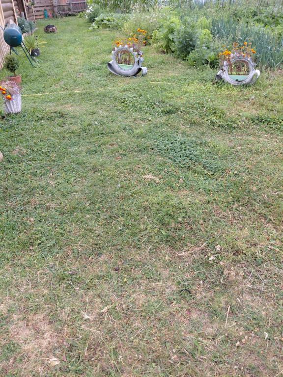 img_id_762752.jpg