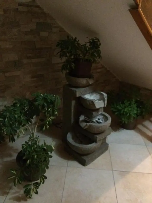 img_id_762981.webp