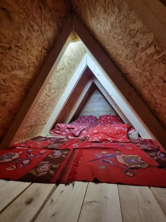 img_id_763184.webp