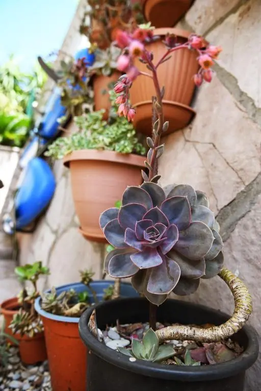 img_id_763840.webp