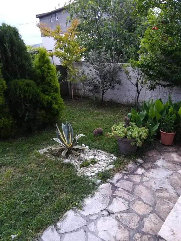 img_id_764014.webp