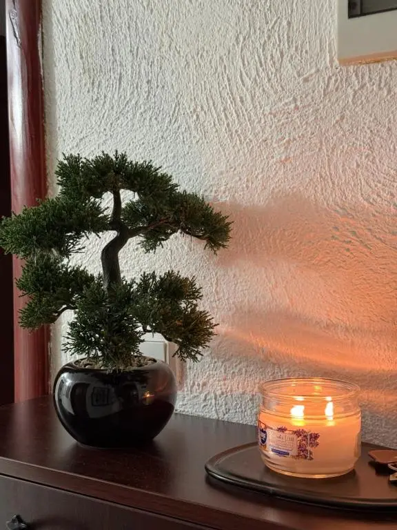 img_id_765314.webp