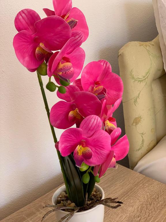 img_id_765376.jpg