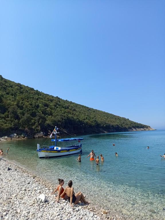 img_id_765379.jpg