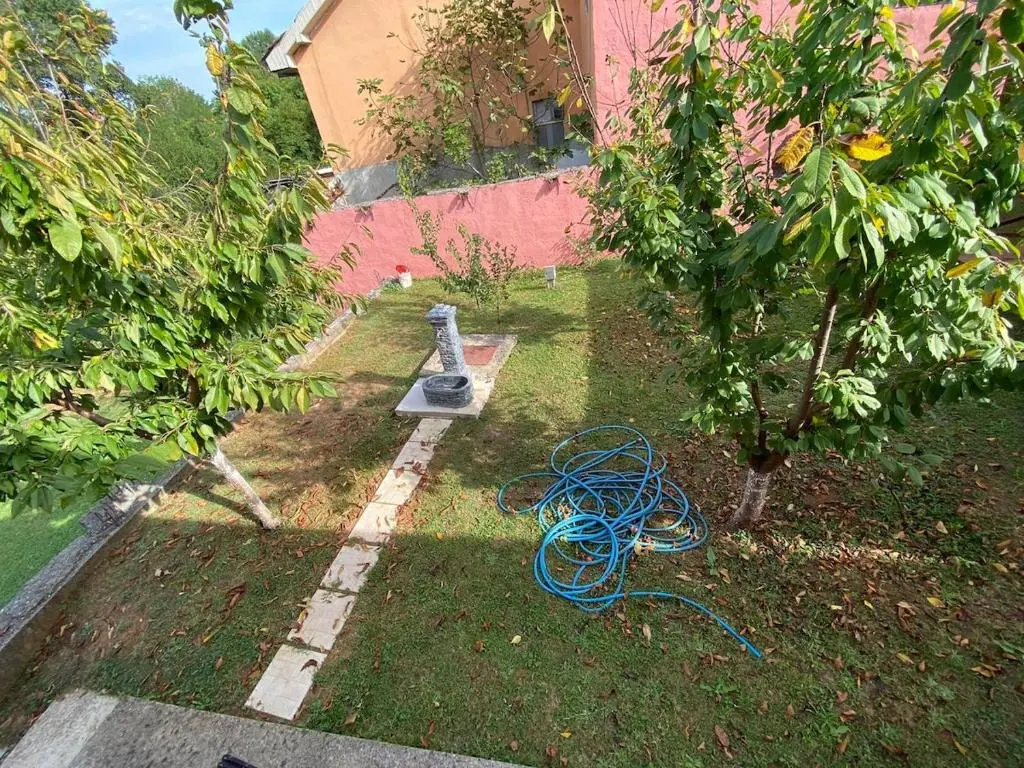 img_id_765969.webp
