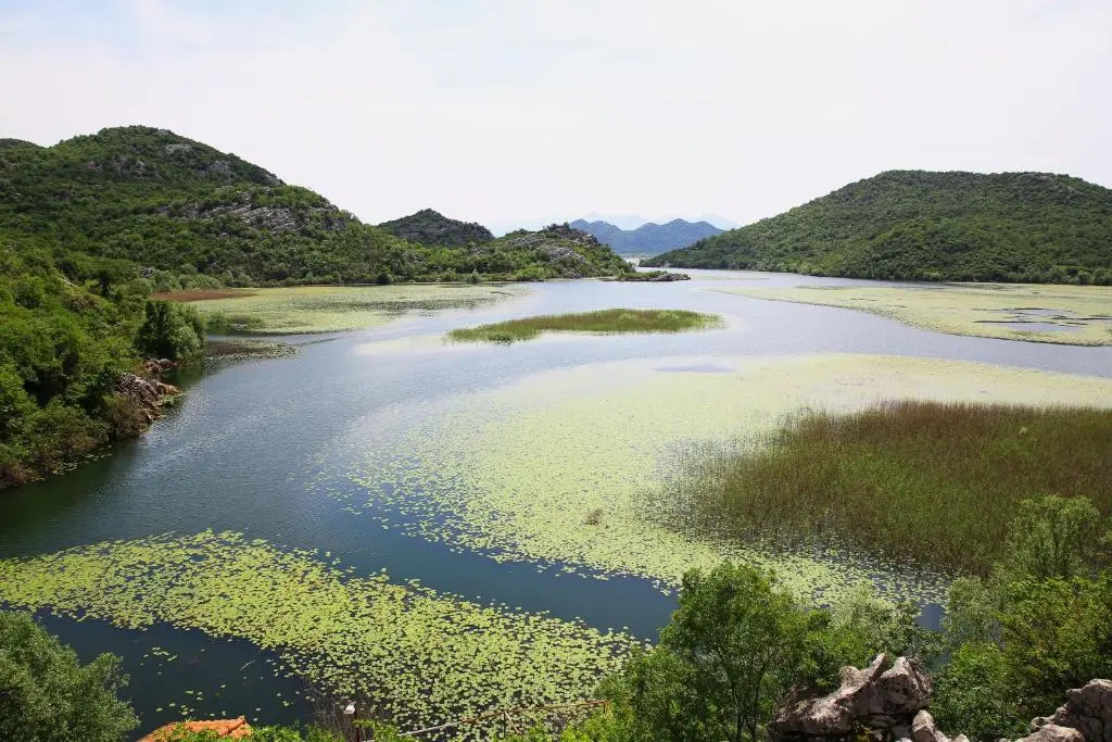 img_id_766823.webp