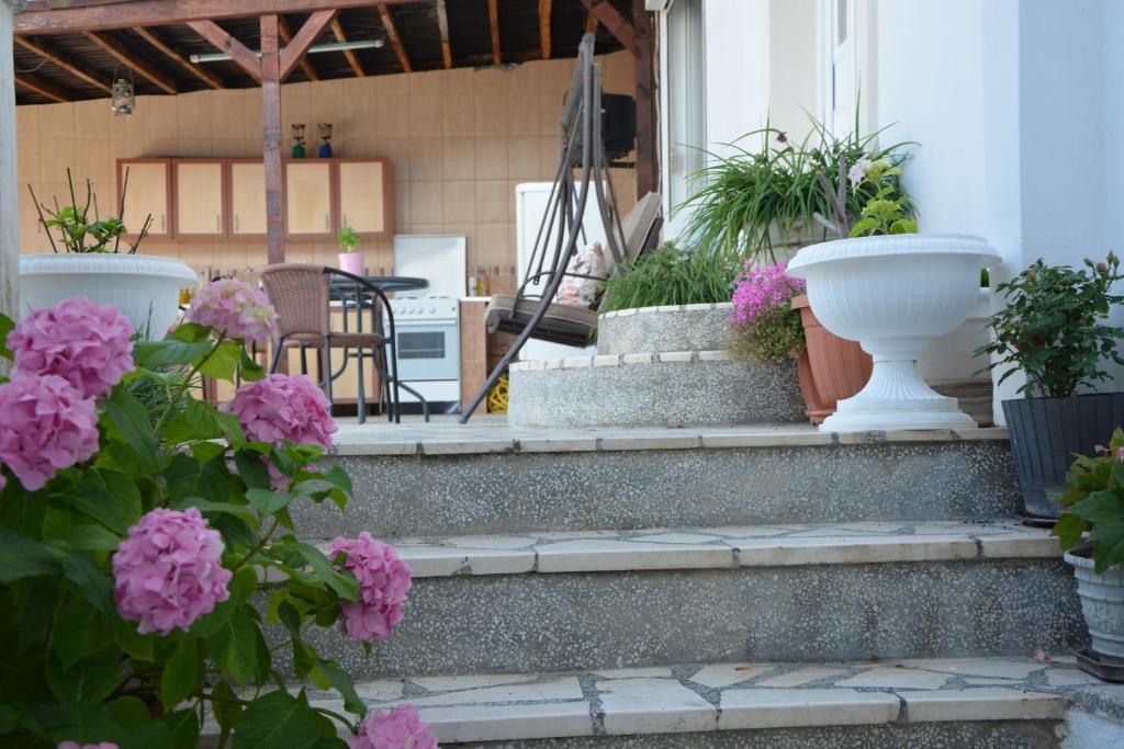 img_id_768102.jpg