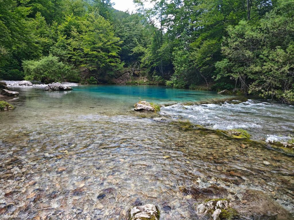 img_id_768404.jpg
