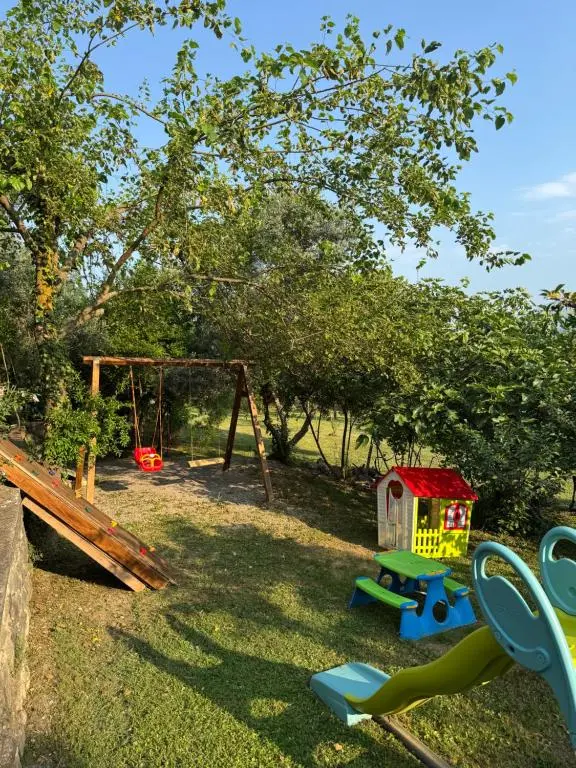 img_id_768568.webp