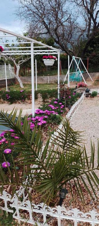 img_id_769533.jpg