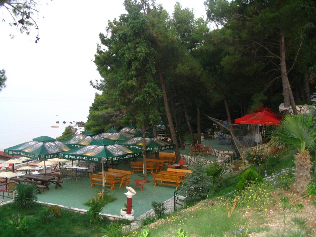 img_id_769631.jpg
