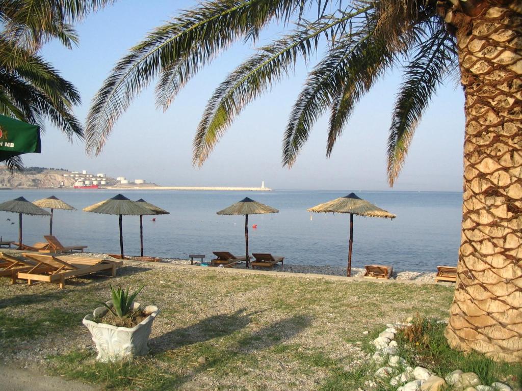 img_id_769634.jpg