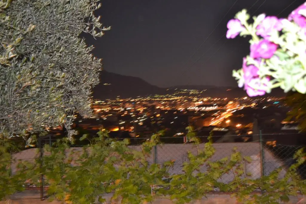 img_id_769702.webp