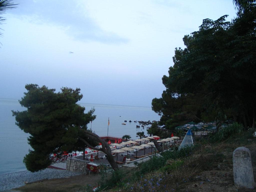 img_id_769731.jpg